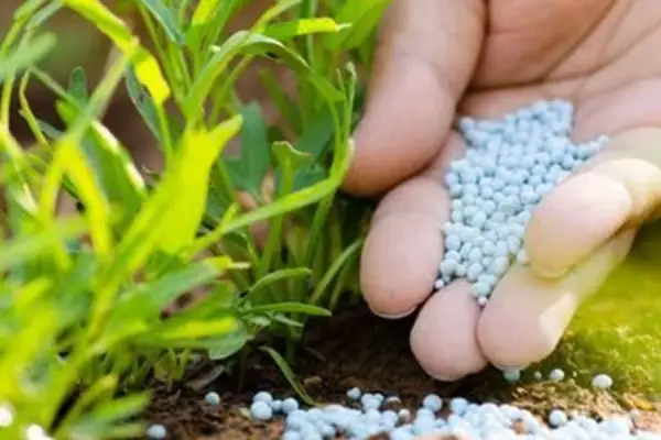 chemicals & Fertilizers